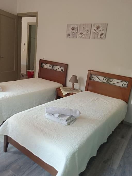 Teris123 Apartment Florina Bagian luar foto